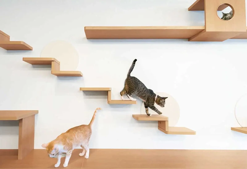 リフォームでキャットウォークを設置！メリットや費用を解説
